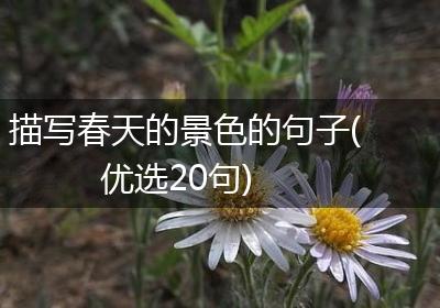 描写春天的景色的句子(优选20句)