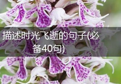 描述时光飞逝的句子(必备40句)