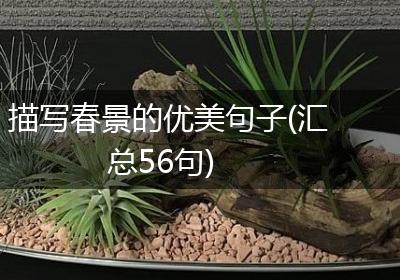 描写春景的优美句子(汇总56句)