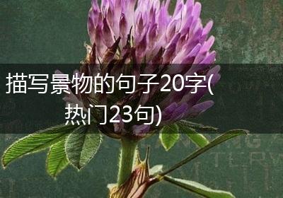 描写景物的句子20字(热门23句)