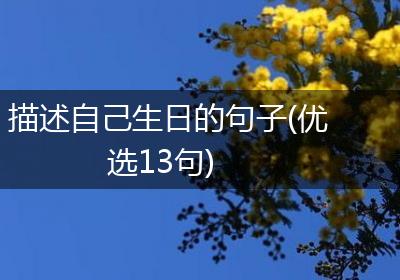 描述自己生日的句子(优选13句)