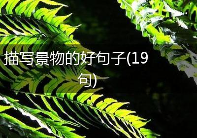描写景物的好句子(19句)