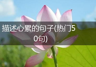 描述心累的句子(热门50句)