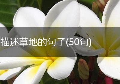 描述草地的句子(50句)
