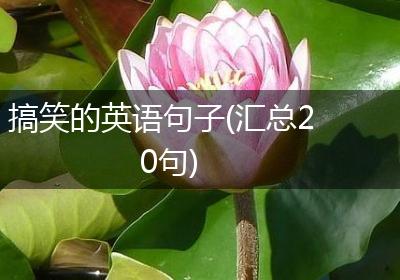 搞笑的英语句子(汇总20句)