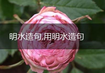 明水造句,用明水造句
