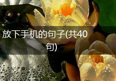 放下手机的句子(共40句)