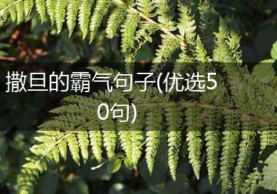 撒旦的霸气句子(优选50句)