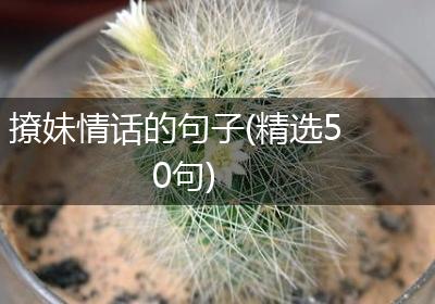 撩妹情话的句子(精选50句)