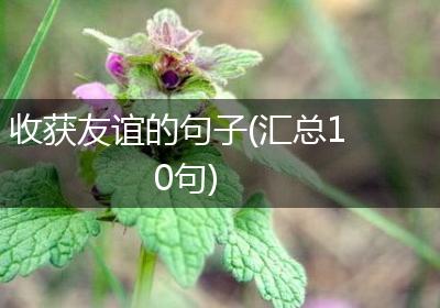 收获友谊的句子(汇总10句)