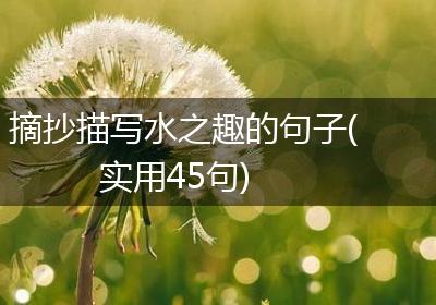 摘抄描写水之趣的句子(实用45句)