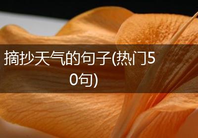 摘抄天气的句子(热门50句)