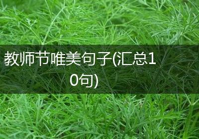 教师节唯美句子(汇总10句)