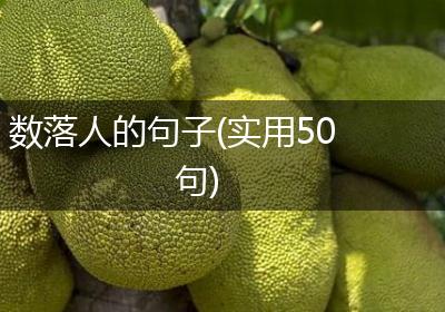 数落人的句子(实用50句)