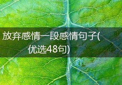 放弃感情一段感情句子(优选48句)
