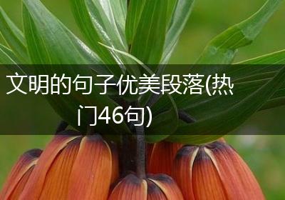 文明的句子优美段落(热门46句)