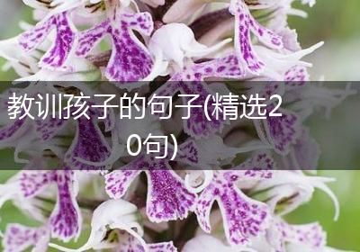 教训孩子的句子(精选20句)