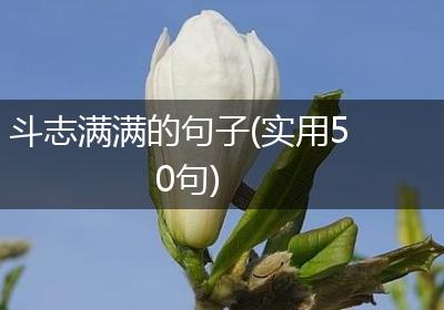 斗志满满的句子(实用50句)