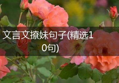 文言文撩妹句子(精选10句)