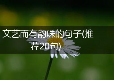 文艺而有韵味的句子(推荐20句)