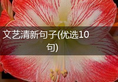 文艺清新句子(优选10句)