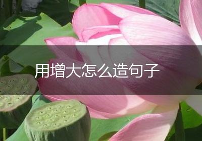用增大怎么造句子