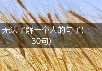 无法了解一个人的句子(30句)