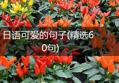 日语可爱的句子(精选60句)