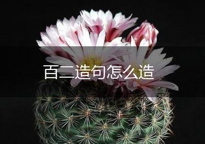 百二造句怎么造
