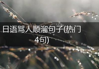 日语骂人顺溜句子(热门4句)