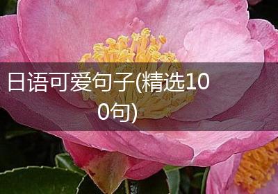 日语可爱句子(精选100句)