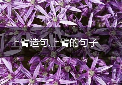 上臂造句,上臂的句子