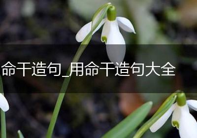 命干造句_用命干造句大全
