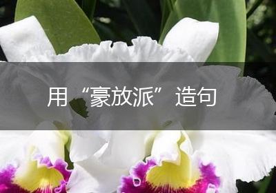用“豪放派”造句