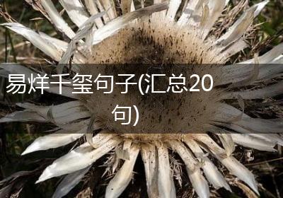 易烊千玺句子(汇总20句)