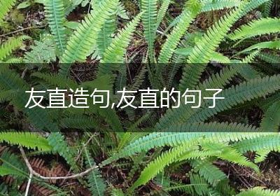 友直造句,友直的句子
