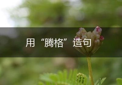用“腾格”造句