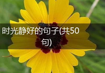 时光静好的句子(共50句)