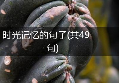 时光记忆的句子(共49句)