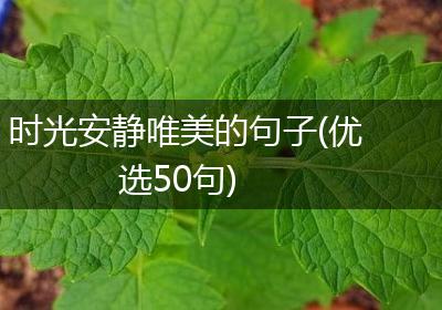 时光安静唯美的句子(优选50句)