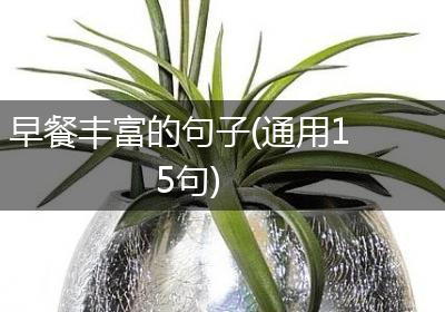 早餐丰富的句子(通用15句)