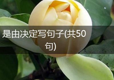 是由决定写句子(共50句)