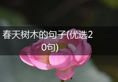 春天树木的句子(优选20句)