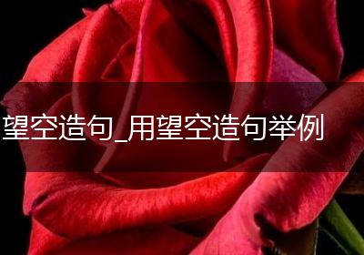 望空造句_用望空造句举例