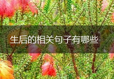 生后的相关句子有哪些