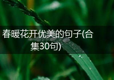 春暖花开优美的句子(合集30句)
