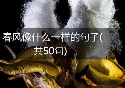 春风像什么一样的句子(共50句)