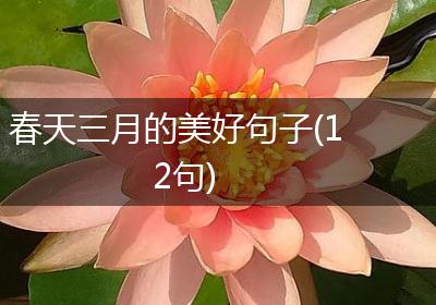 春天三月的美好句子(12句)