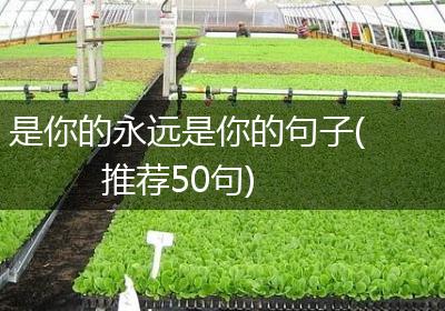 是你的永远是你的句子(推荐50句)