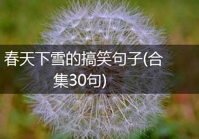 春天下雪的搞笑句子(合集30句)